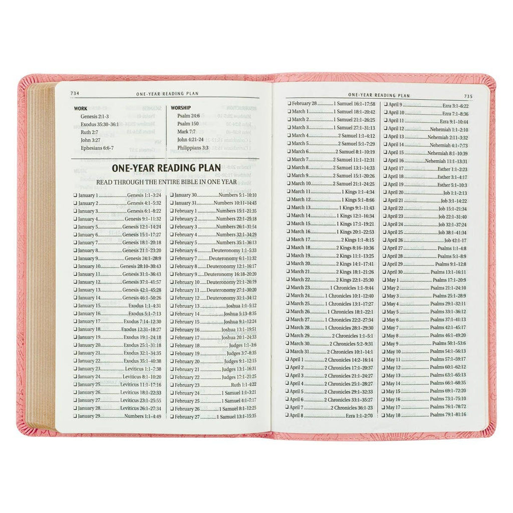 KJV Gift Edition Bible – Light Pink Faux Leather