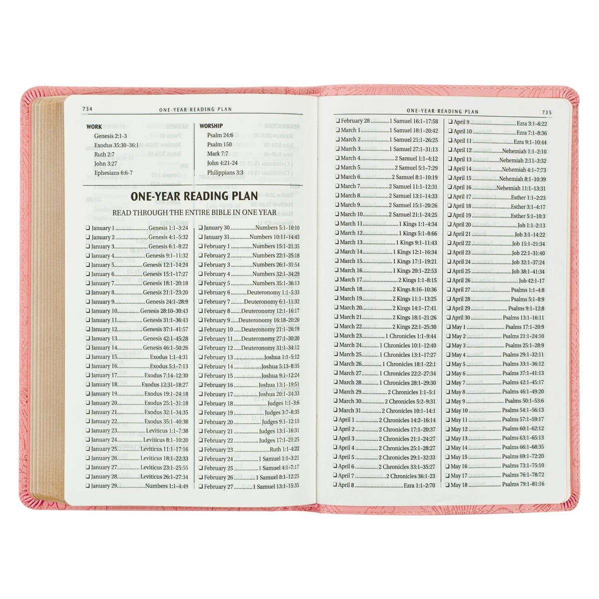 KJV Gift Edition Bible – Light Pink Faux Leather