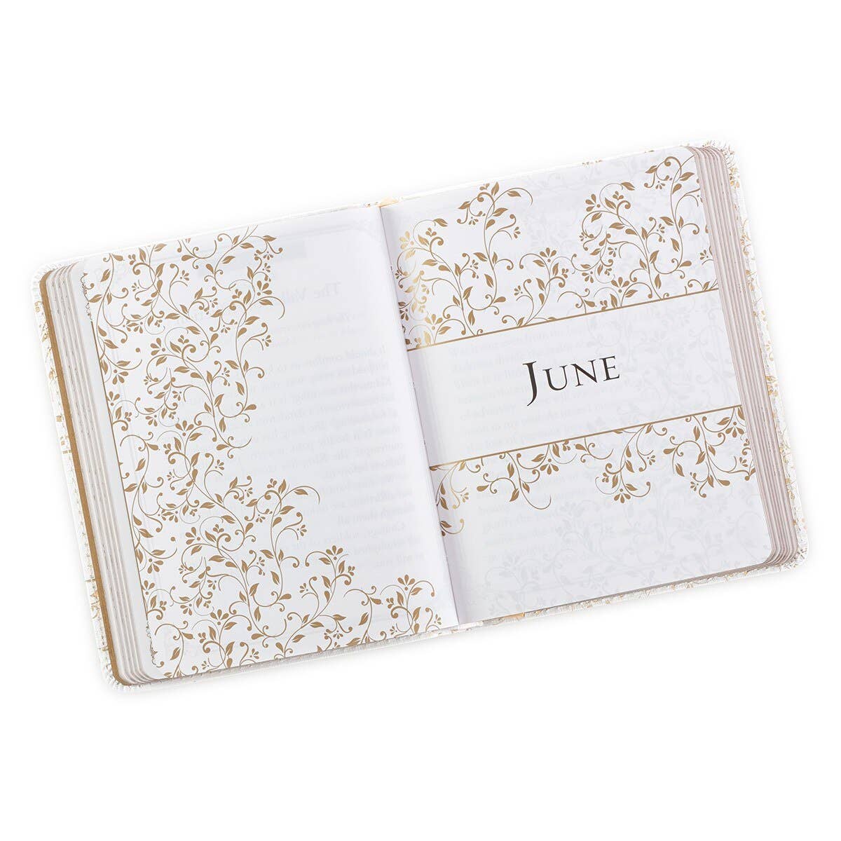 Morning by Morning One-Minute Devotions – White Faux Leather